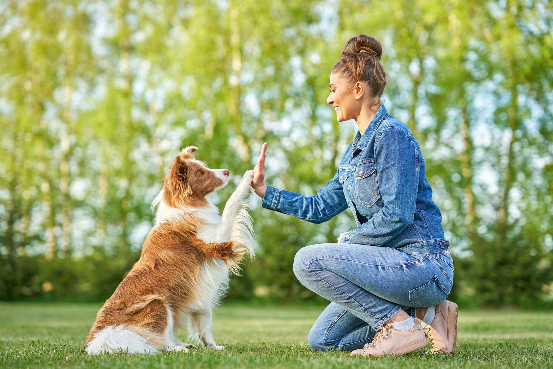 A dog with woman owner doing a high five.
